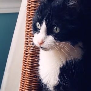 Meet your Posher, Natty